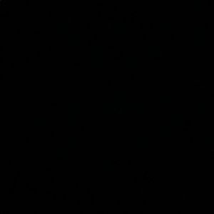 Meet your Posher, Lino